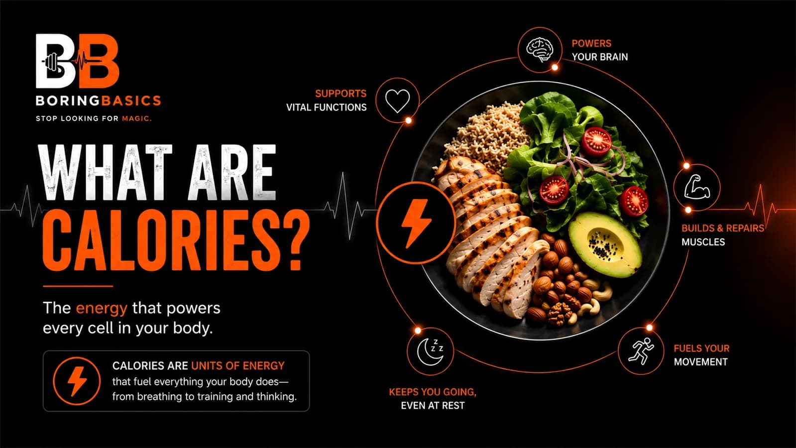 What Are Calories?